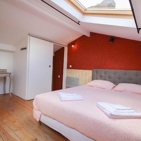 Old Lille - Superb Loft-Type Terrace! 里尔 外观 照片
